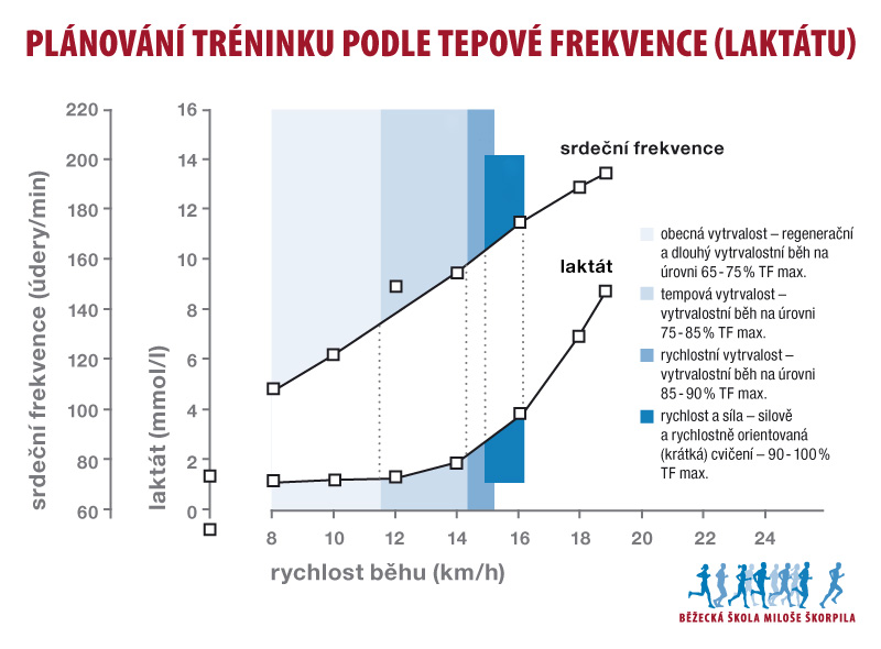 Jak měřit tepovou frekvenci?