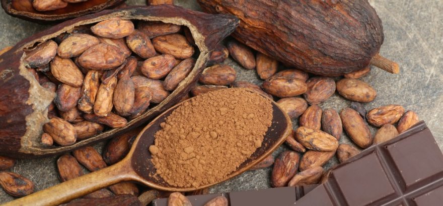 Kakaové boby - nejen dobrá nálada sbalená na běh