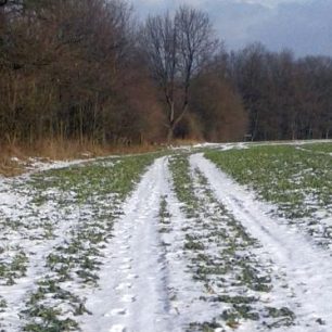 Asfalt nebo terén?