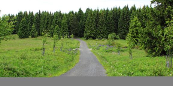 BĚHEJ LESY BÍLÁ &#8211; soutěž o startovné &#8211; UKONČENO