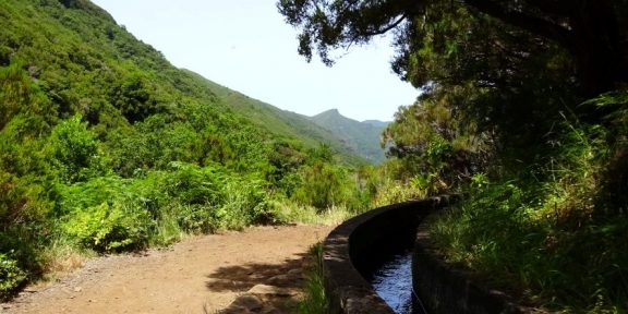 Madeira &#8211; zelený ostrov ideální na běhání