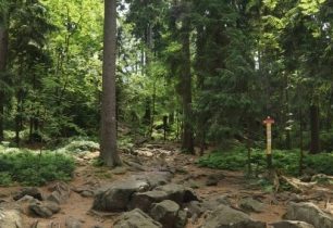 SAAR CHALLENGE - soutěž o startovné - UKONČENO
