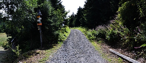 Jesenický půlmaraton &#8211; závod, který posílil moji lásku k běhu &#8211; osobní zkušenost účastnice