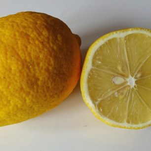 Citrusy – nejen bohatý zdroj vitamínu C