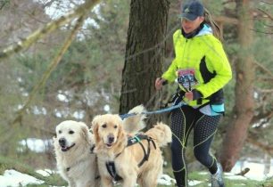 Labské pískovce půlmaraton - SOUTĚŽ O STARTOVNÉ - UKONČENO