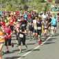 Půlmaraton Plzeňského kraje nabízí zábavu pro celou rodinu