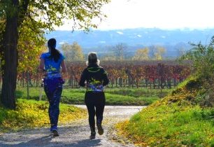 Vinařský maraton/půlmaraton - SOUTĚŽTE O 2 STARTOVNÉ - UKONČENO