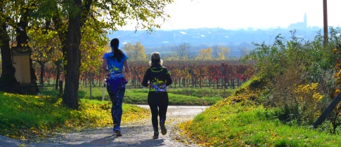 Vinařský maraton/půlmaraton &#8211; SOUTĚŽTE O 2 STARTOVNÉ &#8211; UKONČENO