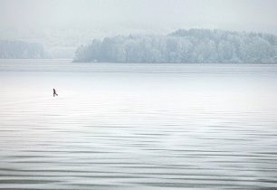 Lipno Ice Marathon startuje za dva týdny. Zamrzlé Lipno čeká na závodníky.