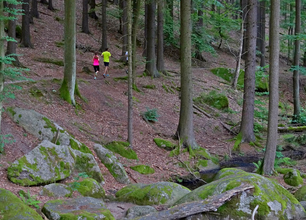 KROS BUČINY: Registrace otevřeny na další závod z dílny pořadatelů Trail Sázava