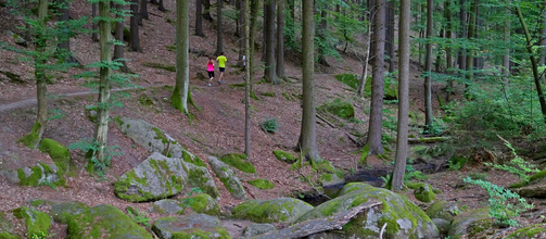 KROS BUČINY: Registrace otevřeny na další závod z dílny pořadatelů Trail Sázava