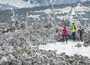 VÁNOČNÍ SOUTĚŽ: Chcete se zdokonalit v trail runningu? Vyhrajte 50% slevu na TRAILCAMPS Jizerské hory! - UKONČENO!