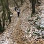 Trailová Závist 2018: Extrémní peklo přes tři údolí ovládli Jan Procházka a Adéla Stránská