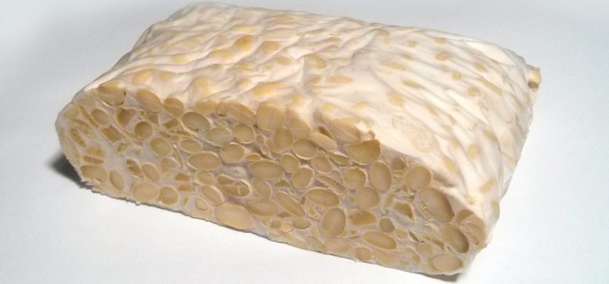 Tofu, tempeh, natto…výborné zdroje bílkovin!