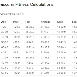 Hodnoty VO2 max