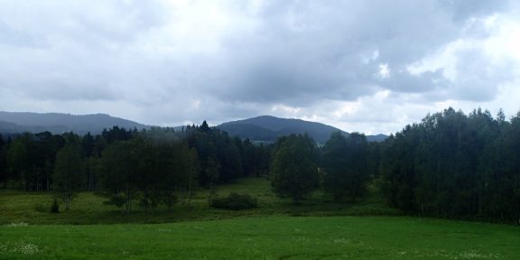 Boubínský prales: běžecká trasa Národním parkem Šumava