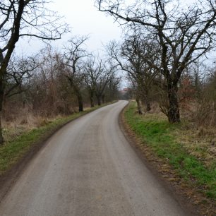 lokalita Višňovka