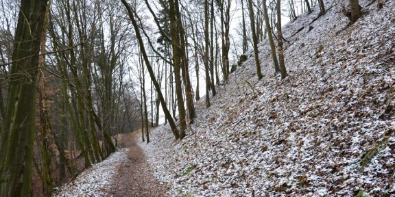 Kokořínsko: běžecká trasa kolem tajemného hradu Houska