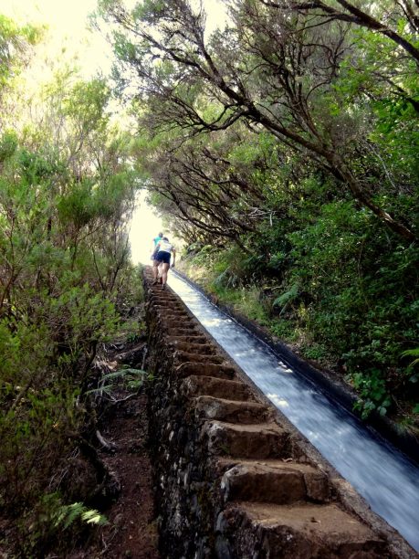 Levády kolem trailu Fontes