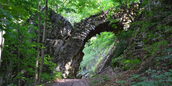 Litovelské Pomoraví: běžecká trasa s vůní česneku medvědího na Třesín