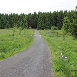 V Krušné hory jsou krásné a dostupné všem zároveň