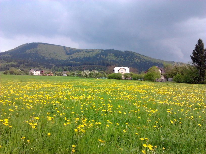 Veřovické vrchy po dešti