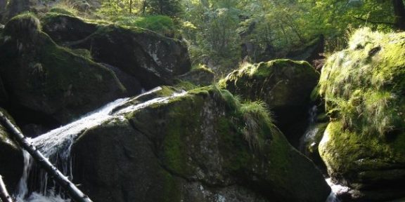 Hejnice: běžecká trasa krajinou vodopádů na vrch Holubník
