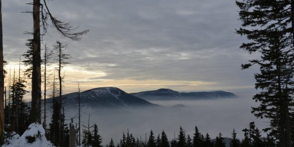 Krásné Vánoce přeje redakce Svět běhu