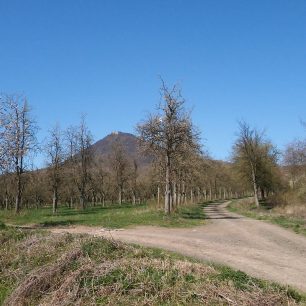 Nejvyšší hora Českého středohoří - Milešovka