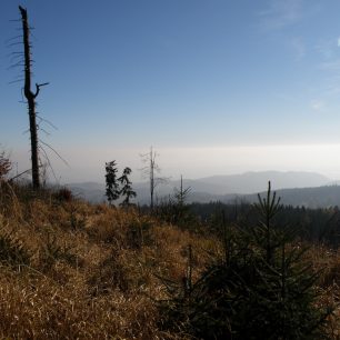 působení imisí se nevyhnulo ani Krušným horám