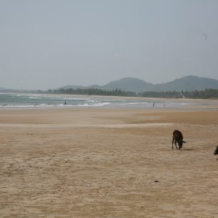 Pláž v Murudeshwaru