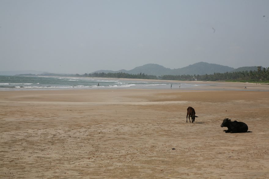 Pláž v Murudeshwaru