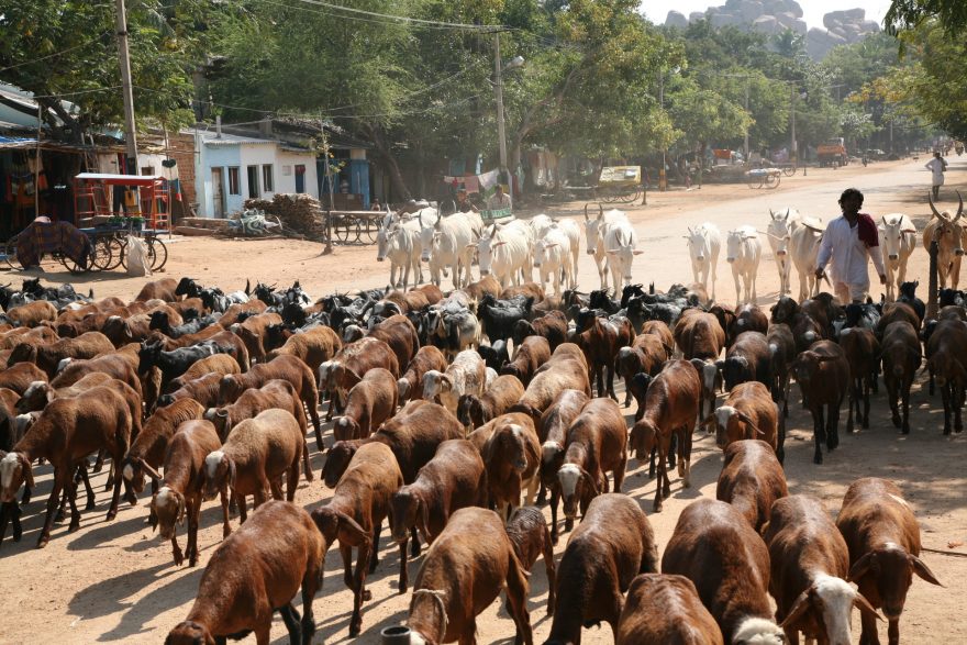 Ucpaná silnice v Hampi