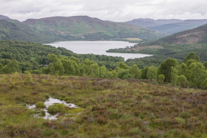 Glen Affric