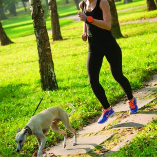 Lishinu je skvělé pro běhání se psem v parku