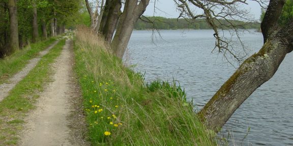 Třeboň: běžecká trasa po hrázích rybníků