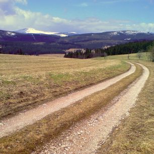 Cesta nad Albeřicemi s výhledem na Sněžku