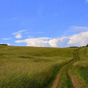 Neprobádanou částí Českého středohoří přes zříceninu Blansko