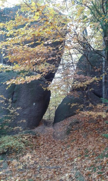 stezka