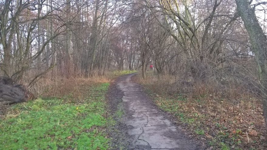 Cesta podél Botiče