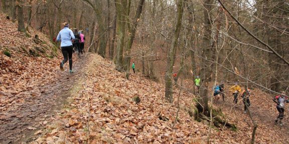 Trailová Závist: běžecká trasa v Břežanském údolí v Praze