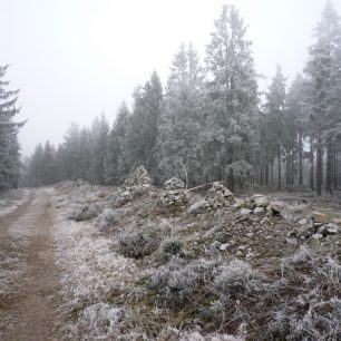 Nejvyšší vrchol Brd - Tok