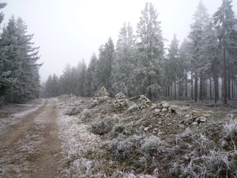 Nejvyšší vrchol Brd - Tok