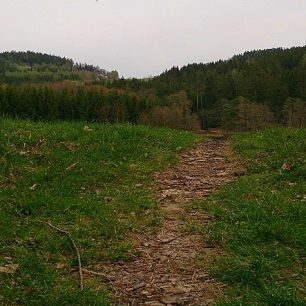 Domažlice: běžecká trasa v chodských lesích