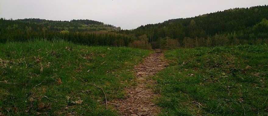 Domažlice: běžecká trasa v chodských lesích