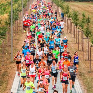 Na trať se postaví stovky běžců