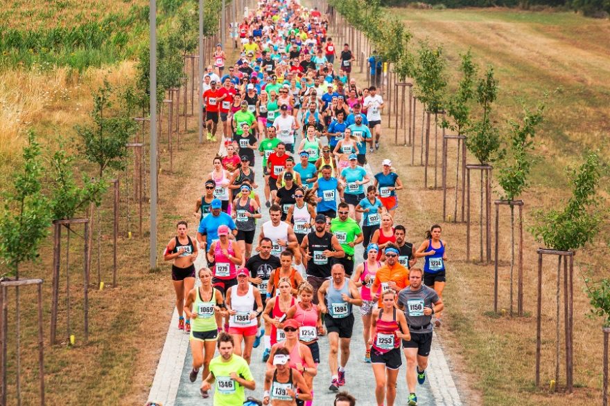 Na trať se postaví stovky běžců