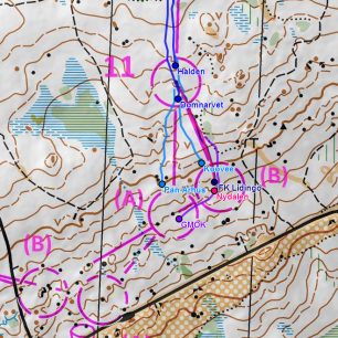 Ženy, úsek 5, dostižen i Goteborg