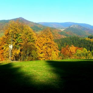 Jeseníky: běžecká trasa ze sedla Ramzová - přes Lesní bary až na Smrk!