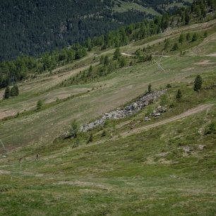 Alta Valtellina Skyrunning Experience Livigno e Santa Caterina Valfurva (foto: Fabio Menino)